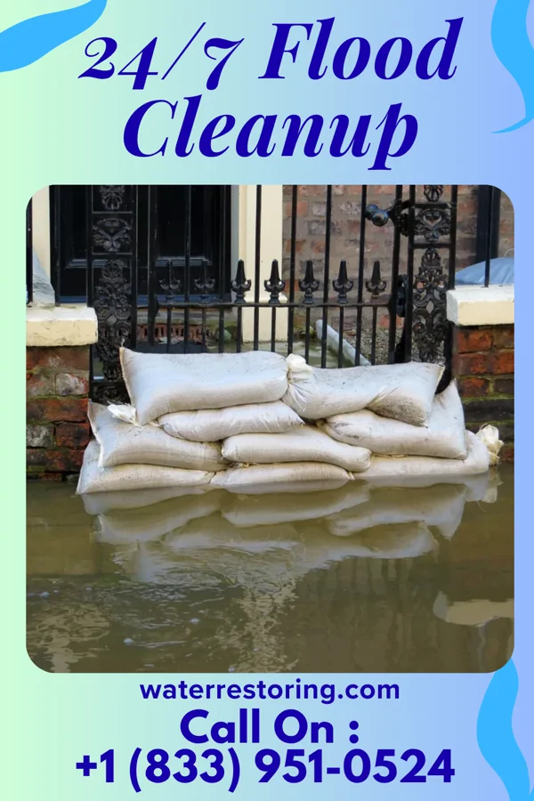 24/7 Flood Cleanup in Moro, AR
